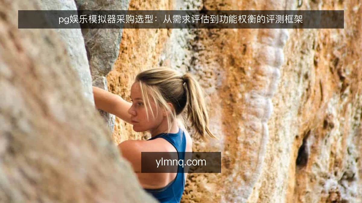 pg娱乐模拟器采购选型:从需求评估到功能权衡的评测框架