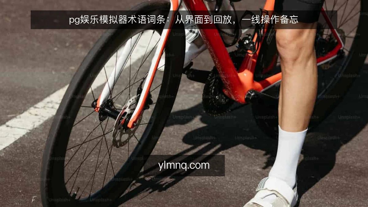 pg娱乐模拟器术语词条:从界面到回放,一线操作备忘