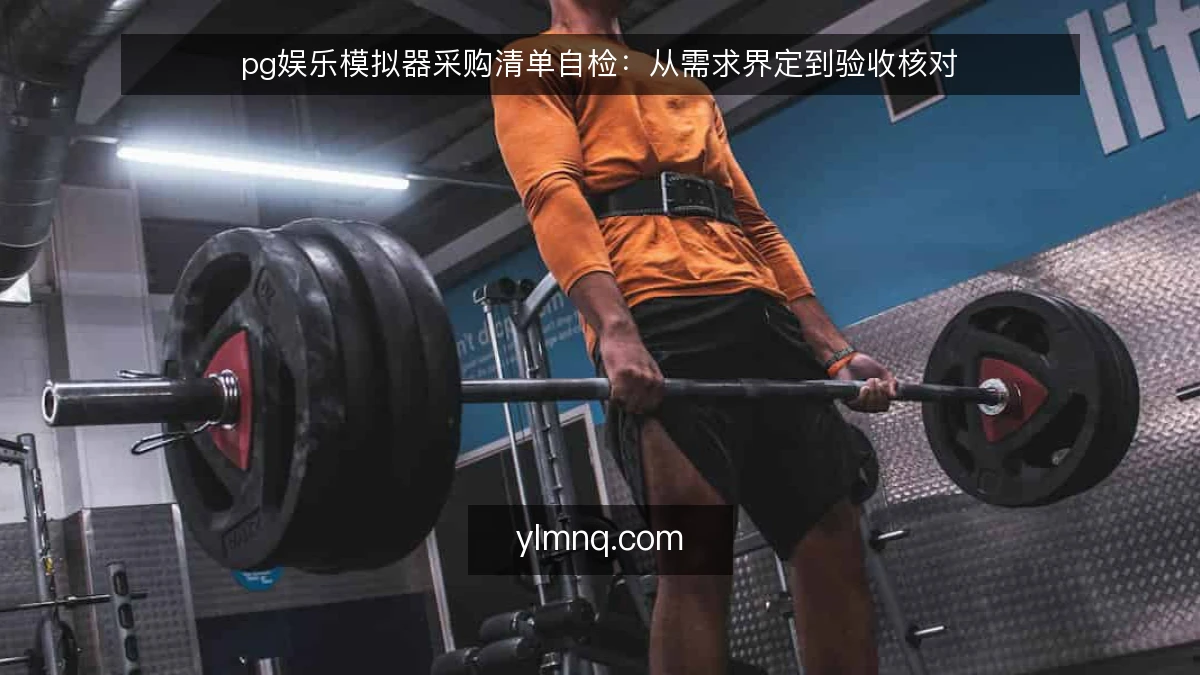 pg娱乐模拟器采购清单自检：从需求界定到验收核对