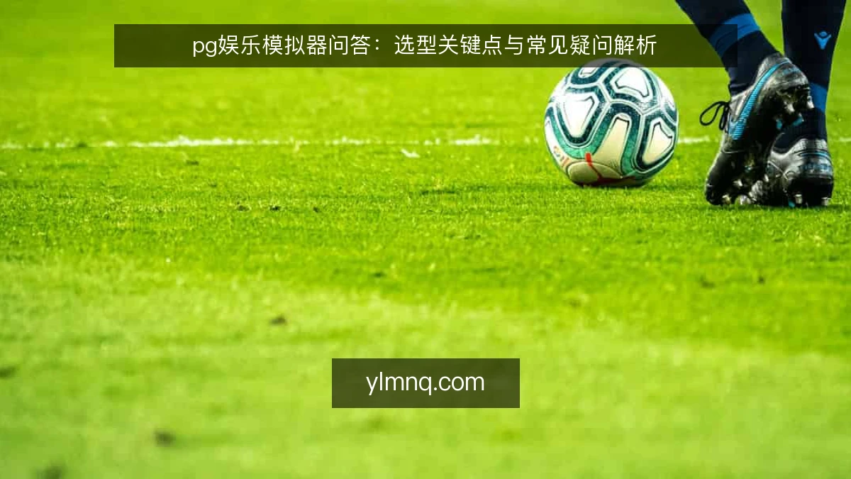 pg娱乐模拟器问答:选型关键点与常见疑问解析