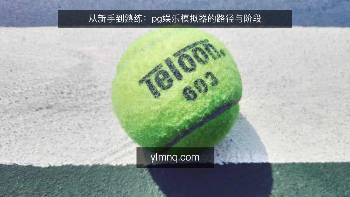 从新手到熟练:pg娱乐模拟器的路径与阶段