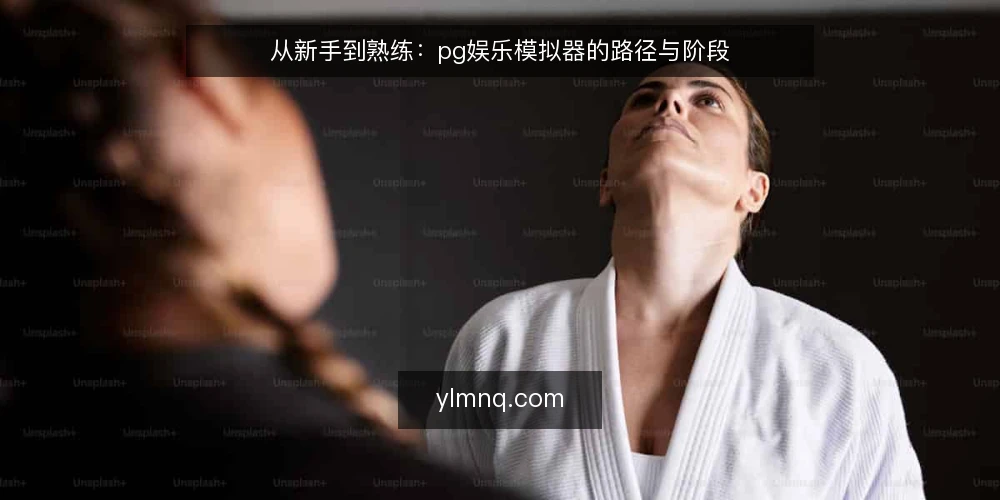 从新手到熟练:pg娱乐模拟器的路径与阶段 — 新手阶段:熟悉界面与基础功能 配图