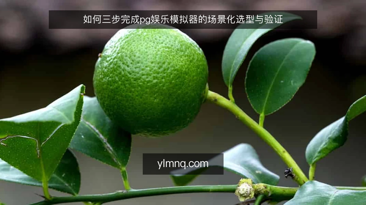 如何三步完成pg娱乐模拟器的场景化选型与验证